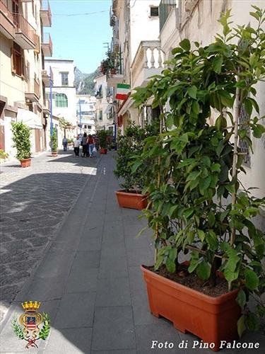 Casa Raffelina Διαμέρισμα Minori Εξωτερικό φωτογραφία